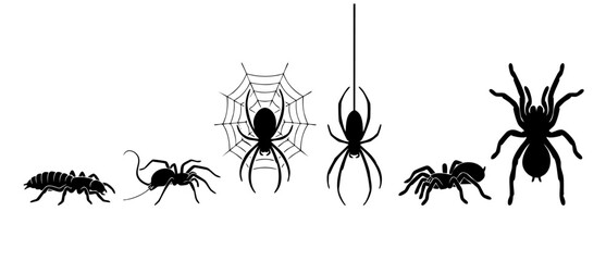 Spider silhouette collection isolated on white background, black arachnid icons set including web and hanging spiders for Halloween design elements, insect study and creepy horror graphic decor style. © Dinali