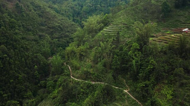 Sapa, Lao Cai Province, Vietnam - A Peaceful View of a Winding Path Through Lush Greenery, With Terraced Fields Nestled Along the Hillside - Aerial Drone Shot