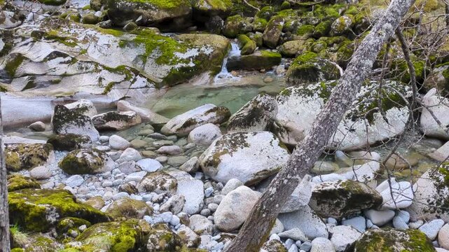 Crystal Clear Glacial Stream Flowing Over Moss-Covered Rocks at Briksdal Glacier Norway