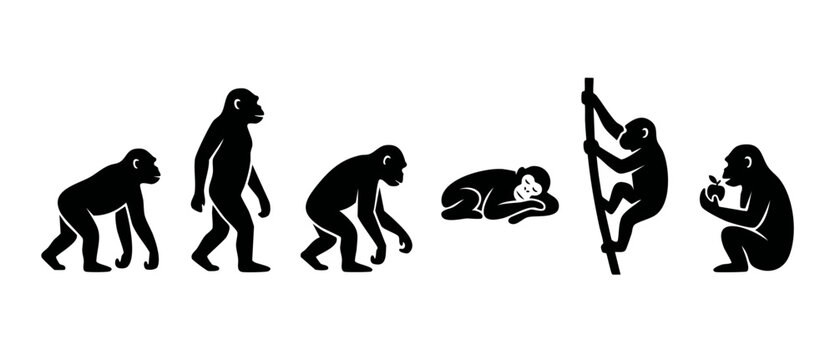 Chimpanzee Silhouette Set, Monkey Activities and Poses Vector Illustration. Group of stylized primate icons including walking, climbing, sleeping, and sitting with apple, isolated on white background.