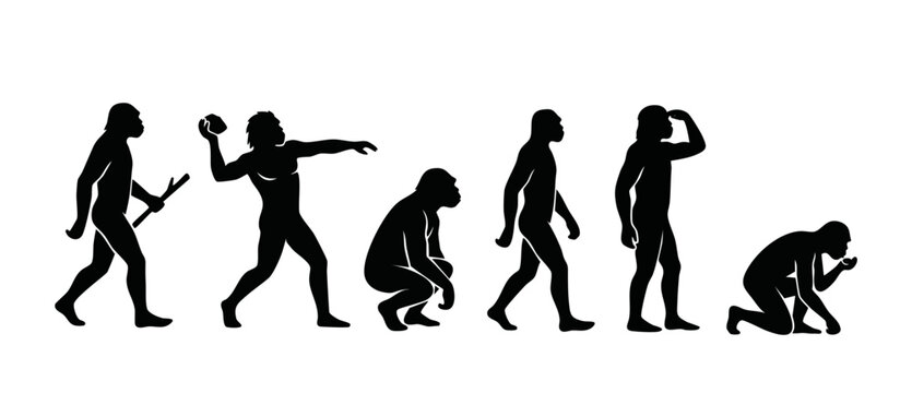 Human Evolution Silhouette Set: Stages of Prehistoric Man Development from Primate to Modern Human Progression, Anthropological Concept Graphic Isolated on White Background for Science and History Edu