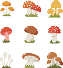 Mushrooms collection set, forest fungi plants illustration, cartoon vector for nature and autumn woodland themes © Sume