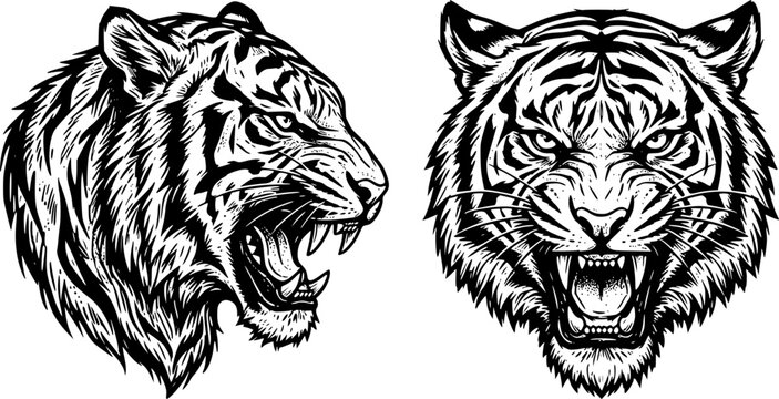 Tiger head face portrait set. Profile angry roaring animal. Front and side view. Wild striped savage predator mammal. Black and white simple linocut tatoo silhouette style. Isolated vector on white

