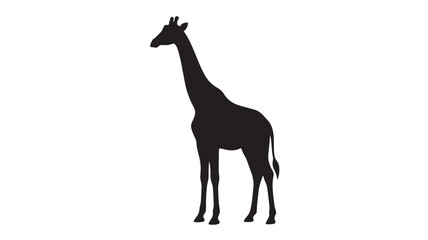 Obraz premium Giraffe animal silhouette icon, simple black vector style on clean white background for education and branding