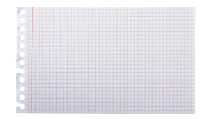 Torn graph paper sheet with red margin line and punched holes, isolated on transparent background © Sean