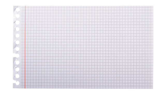 Torn graph paper sheet with red margin line and punched holes, isolated on transparent background