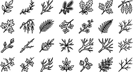 Botanical Elements Black and White Line Art Set. Hand-drawn Doodle Icons of Tree Branches, Leaves, Berries, Cones, Acorns, and Fern for Nature Designs © victoria