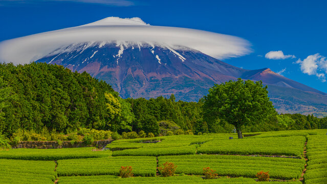 早朝の富士山」の写真素材 | 17,013件の無料イラスト画像 | Adobe Stock