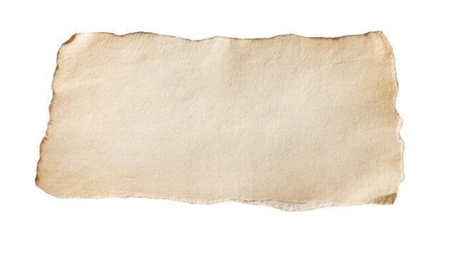 Torn beige paper fragment with burnt edges, isolated on transparent background
