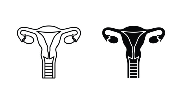 Simplified uterus anatomy diagram in outline and solid black vector styles
