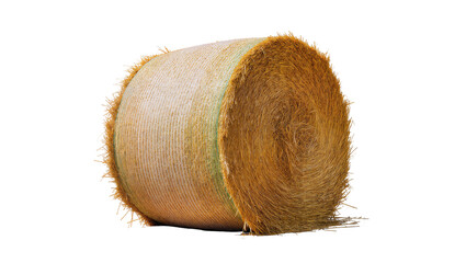 Round golden hay bale with textured surface, isolated on transparent background © Sean