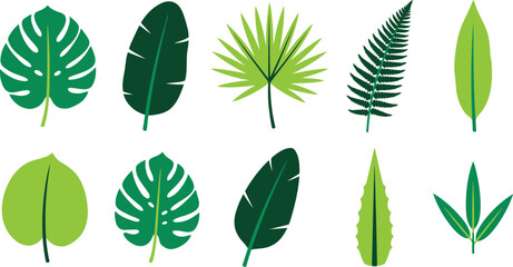 Tropical leaf silhouette vector pack with monstera banana palm fern and bamboo leaves isolated flat botanical illustration collection  © Madhuka Disanayaka