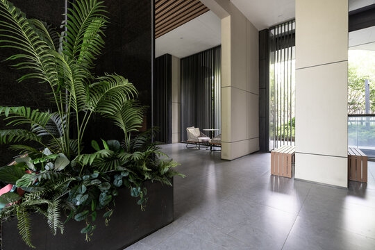 Modern interior space featuring lush green plants, decorative ferns and palm trees, with minimalist design and comfortable seating area