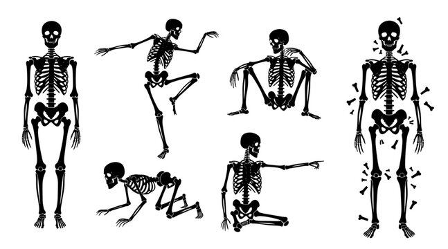 Collection of six black skeleton silhouettes in various dynamic poses and static positions on white background.