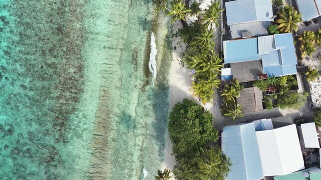 Aerial view of the turquoise coral reefs and white sandy beach lined with palm trees and local houses in Maalhos, Baa Atoll, Maldives.