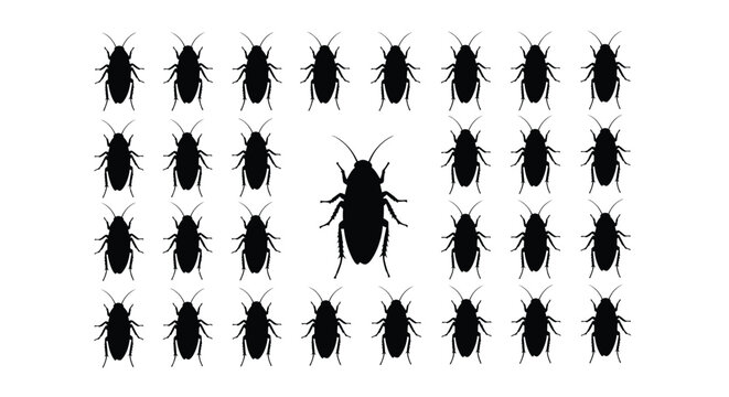 Cockroach silhouettes on a white background silhouette high quality professional detailed