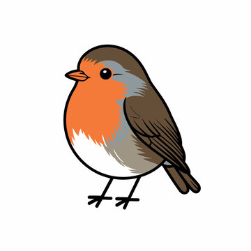 Cute Robin Illustration in Minimalist Flat Style Isolated on White