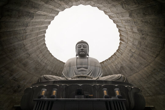 Seated Buddha Statue Under Round Skylight in Concrete Temple