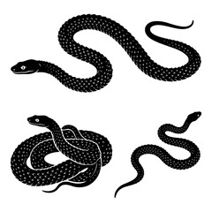 Fototapeta premium Black and white vector silhouette set of Javan Tubercle Snake.