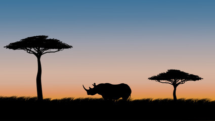 Rhinoceros on safari at sunset, color vector illustration © OMIA