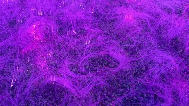 Glowing Blue Fiber Optic Lights on Green Ground Cover Outdoors