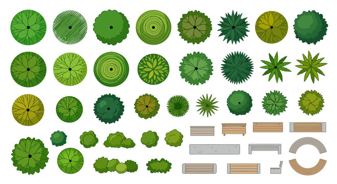 Trees and park elements top view vector illustration on white background
