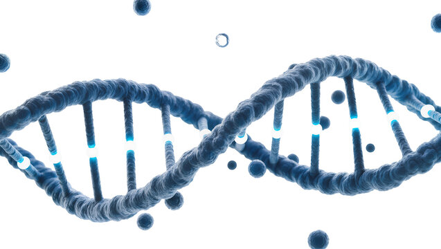 Blue DNA helix structure with glowing segments, isolated on transparent background