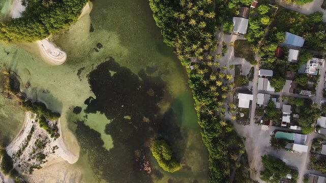 Aerial view of the lush tropical landscape of Goidhoo island featuring dense palm trees, white sandy shores, and clear turquoise lagoon waters Goidhoo, Baa Atoll, Maldives.