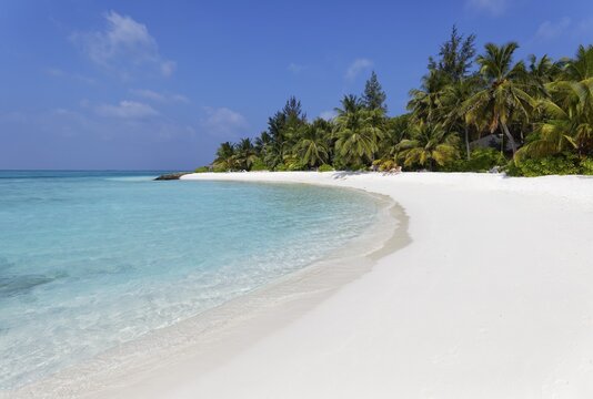 Sandy beach beach, wide, white, palm trees, Summer Island, North Mal&eacute; Atoll, Maldives