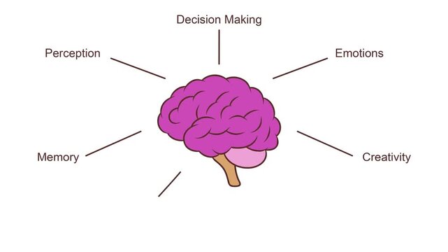 human brain function motion graphic video