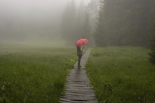 Woman 60-65 with umbrella in the H&uuml;hnermoos on a cloudy day with fog, a high moor at the S&ouml;llereck near Oberstdorf, Allg&auml;u Alps, Allg&auml;u, Bavaria, Germany