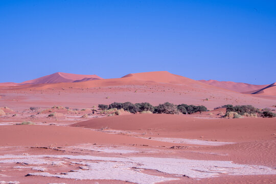  Golden dunes rise like waves frozen in time, stretching endlessly under a sky painted with soft pastels, where solitude and silence reveal the raw soul of Namibia&rsquo;s desert