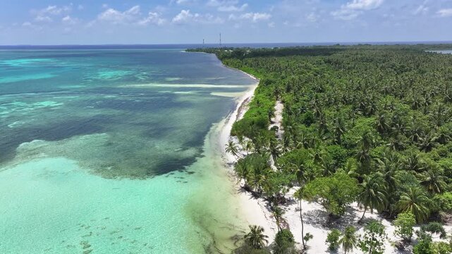 Aerial view of turquoise waters and white sand beach bordered by dense palm trees in Goidhoo, Baa Atoll, Maldives.
