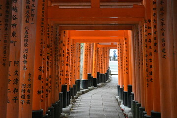 Obraz premium Fushimi inari Kyoto 