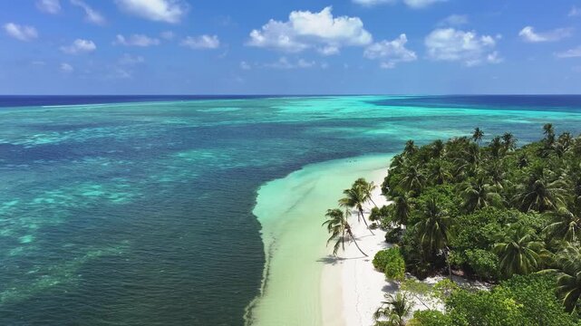 Aerial view of a tropical island with palm trees, white sand beach and turquoise coral reefs in Goidhoo, Baa Atoll, Maldives.