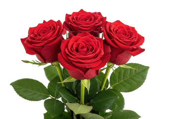 Fototapeta premium Elegant bouquet of four blooming red roses with dew drops and foliage isolated on transparent background