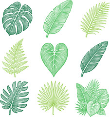 Transparent halftone vector of retro grunge tropical leaves set with dotted monstera and palm design, fern, banana © Business Image