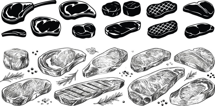 Steak and raw meat cuts collection, hand drawn and silhouette vector illustration set for butcher shop, barbecue and restaurant design
