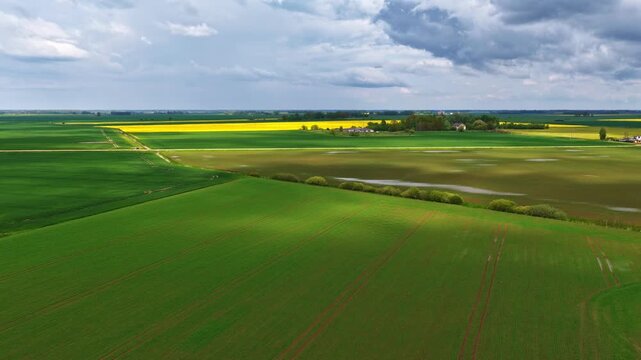 Cinematic aerial pan across vast green pastures and blooming yellow fields under a dramatic sky.