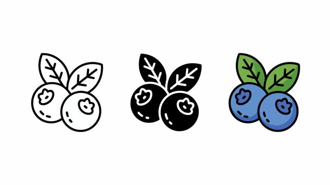blueberry icon set line art silhouette and color illustration on white background high quality professional detailed