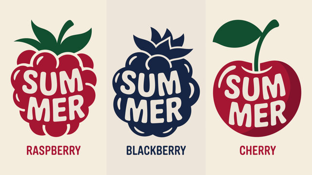 Summer fruit illustrations with text featuring raspberry blackberry and cherry designs high quality professional detailed modern