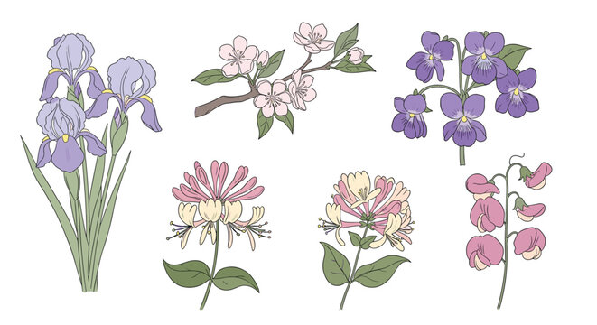 Botanical collection of various flower illustrations including irises and violets shown with their stems and leaves in a detailed style.