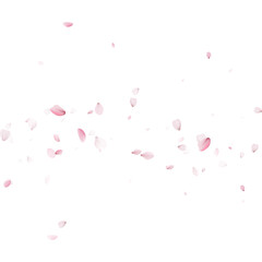 Stream of pink cherry blossom petals blowing across a light background. Dynamic falling sakura floral confetti. Springtime design template © writerfantast