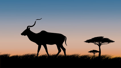 antelope  kudu on safari at sunset, color vector illustration © OMIA