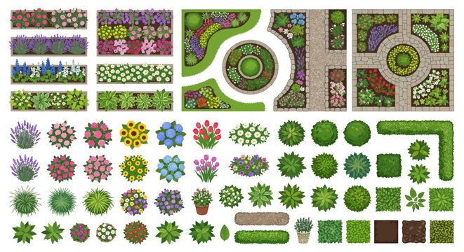 garden plan elements top view vector illustration