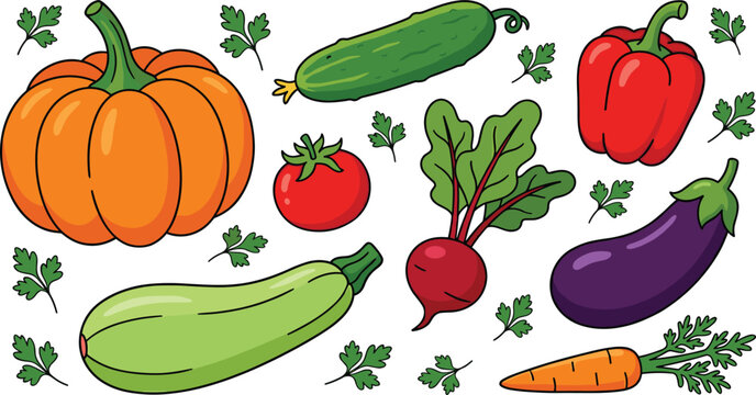Fresh organic vegetable collection featuring pumpkin cucumber bell pepper tomato beetroot eggplant zucchini and carrot icons for healthy food and agricultural themed vector designs