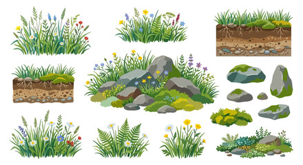 Wildflower and rock garden elements colorful vector illustration on white © MITHUN