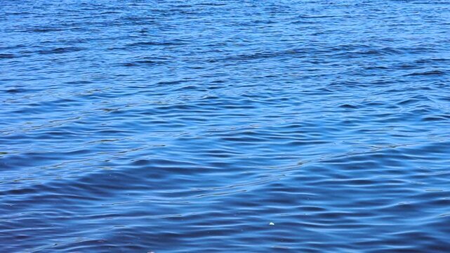 Blue sea water with ripples