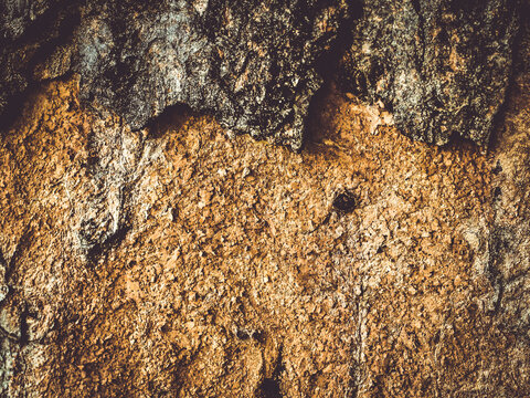 Natural Sedna Gold Granite Background Stylish Texture
