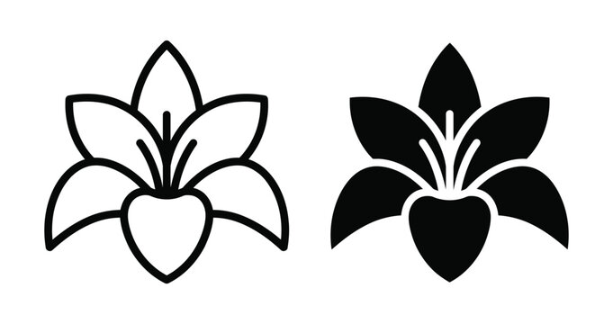 vector black and white flower